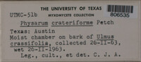 Image Associated With the Occurence